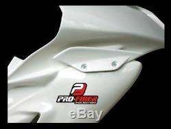 2009-2011 Bmw S1000rr Race Bodywork Fairings Seat Tail Unit Ss Oem Fuel Tank