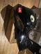 Aprilia Rsv4 Fuel Tank 2009 Rsv 4 Tuono Cheap Race Parts Track Day Rare Rs V4